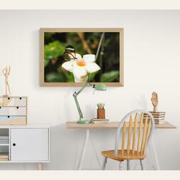 Sommerfugl på blomst 2 Fotografi (40x60,Premium fotopapir)