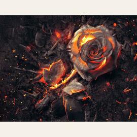 Brennende Rose (40x60,Premium fotopapir)