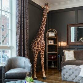 Giraffe 3,6 meter